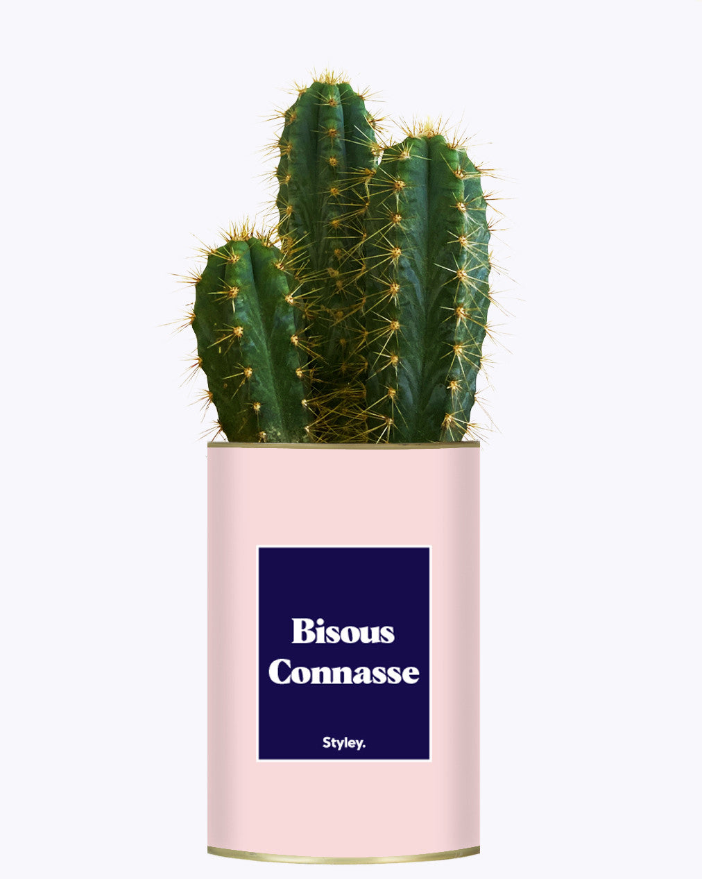 Bisous Connasse - Cactus