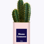 Bisous Connasse - Cactus