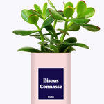 Bisous Connasse - Cactus