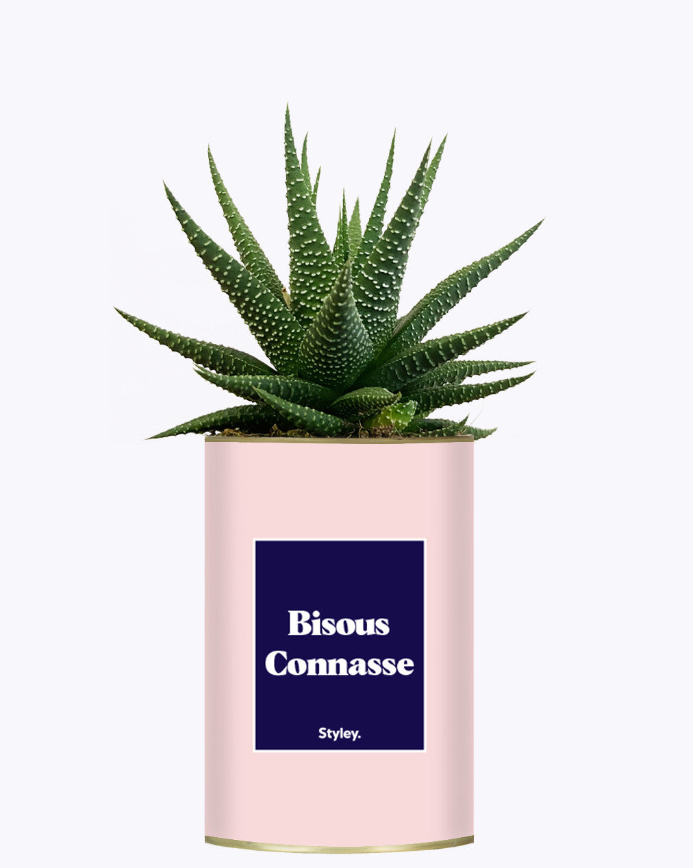 Bisous Connasse - Cactus