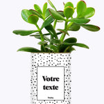 Cactus dots - Personnalisable