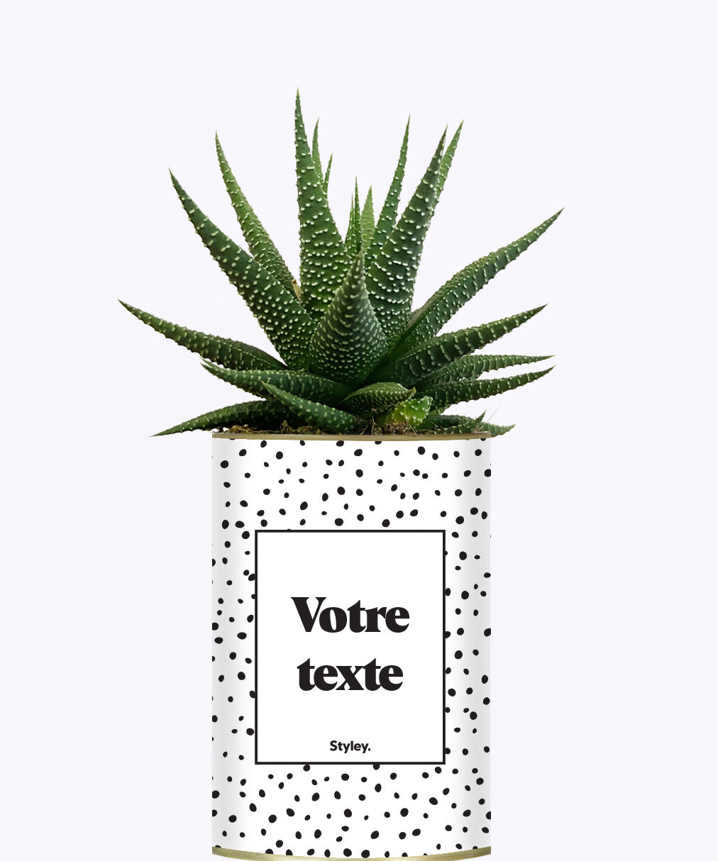 Cactus dots - Personnalisable