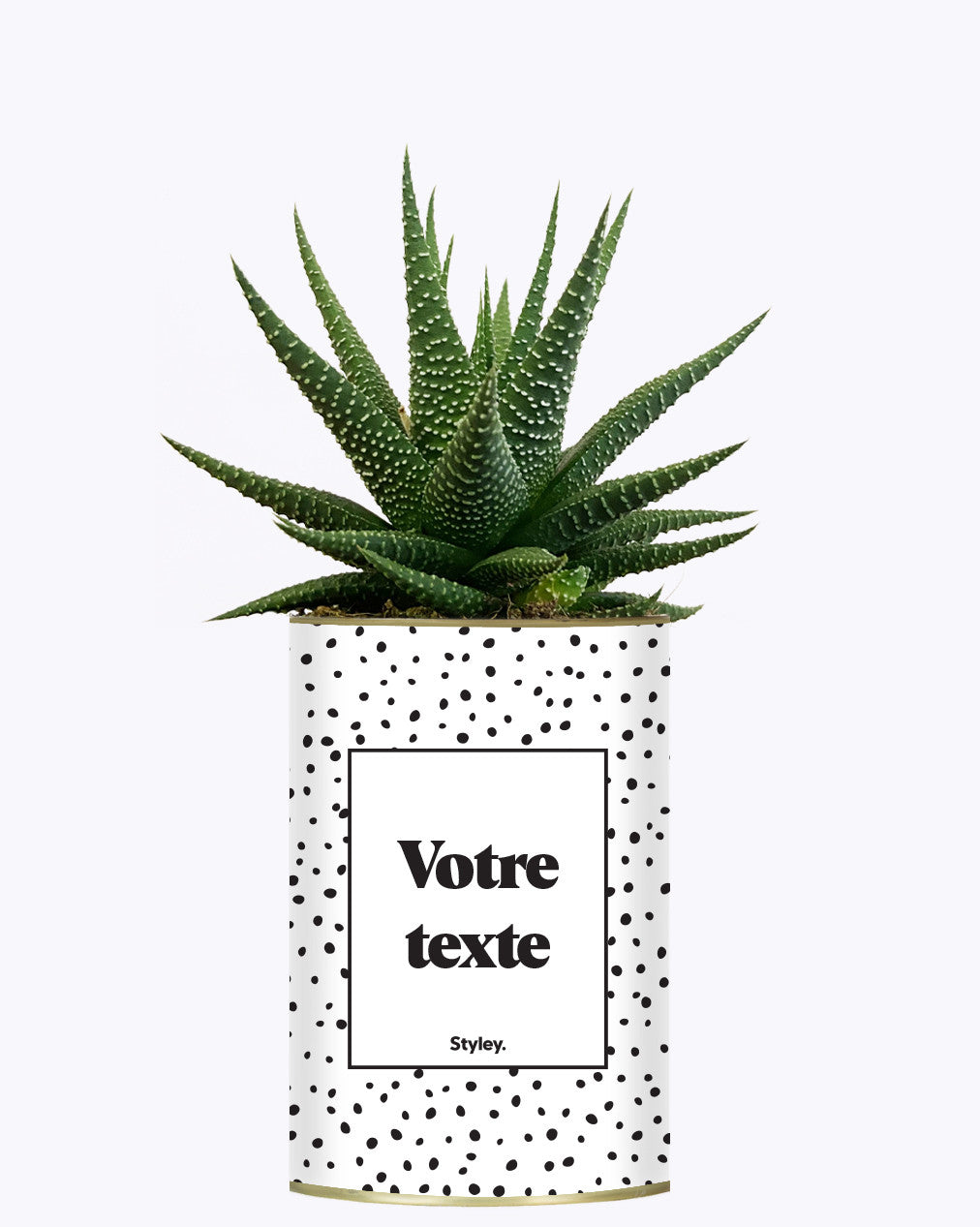 Cactus dots - Personnalisable