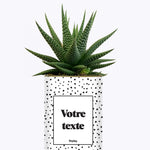 Cactus dots - Personnalisable