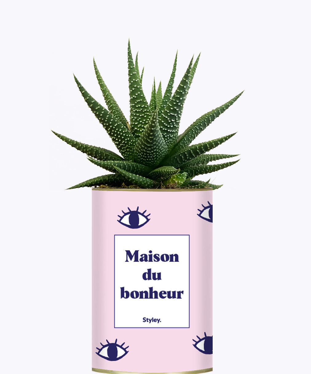 Maison du bonheur - Cactus