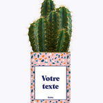 Cactus Bichette - Personnalisable