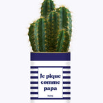 Je pique comme papa - Cactus