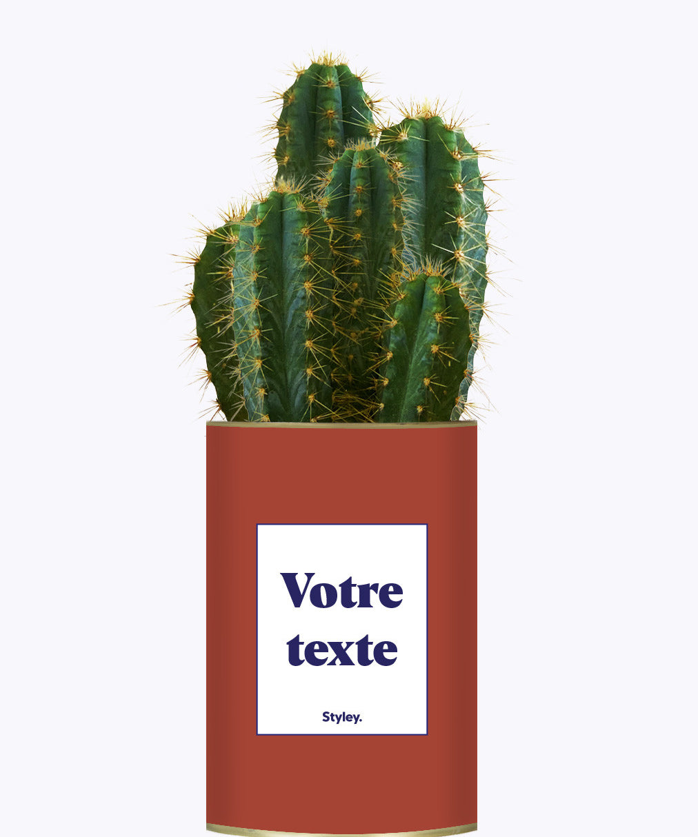 Cactus TerracoPapa - Personnalisable