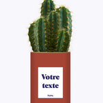 Cactus TerracoPapa - Personnalisable