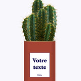 Cactus TerracoPapa - Personnalisable