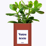 Cactus TerracoPapa - Personnalisable