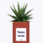 Cactus TerracoPapa - Personnalisable