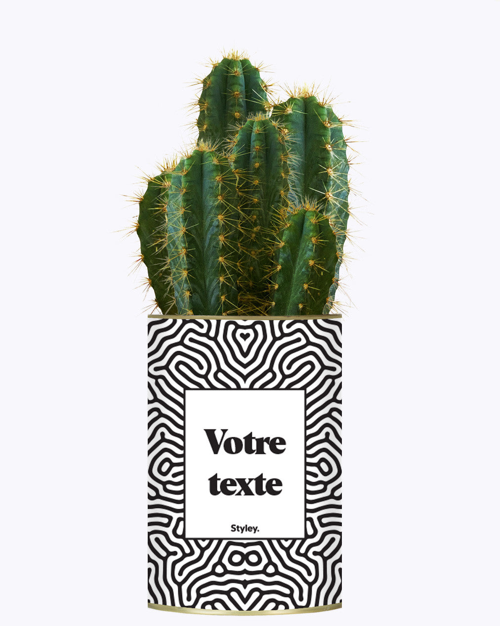 Cactus Nuance - Personnalisable