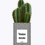 Cactus Nuance - Personnalisable
