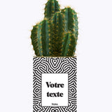 Cactus Nuance - Personnalisable