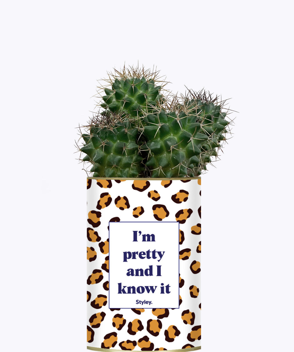 I'm pretty and I know it - Cactus