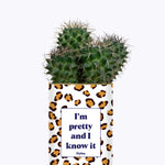I'm pretty and I know it - Cactus