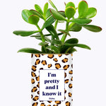 I'm pretty and I know it - Cactus