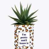 I'm pretty and I know it - Cactus