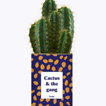 Cactus & the gang - Cactus
