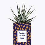 Cactus & the gang - Cactus