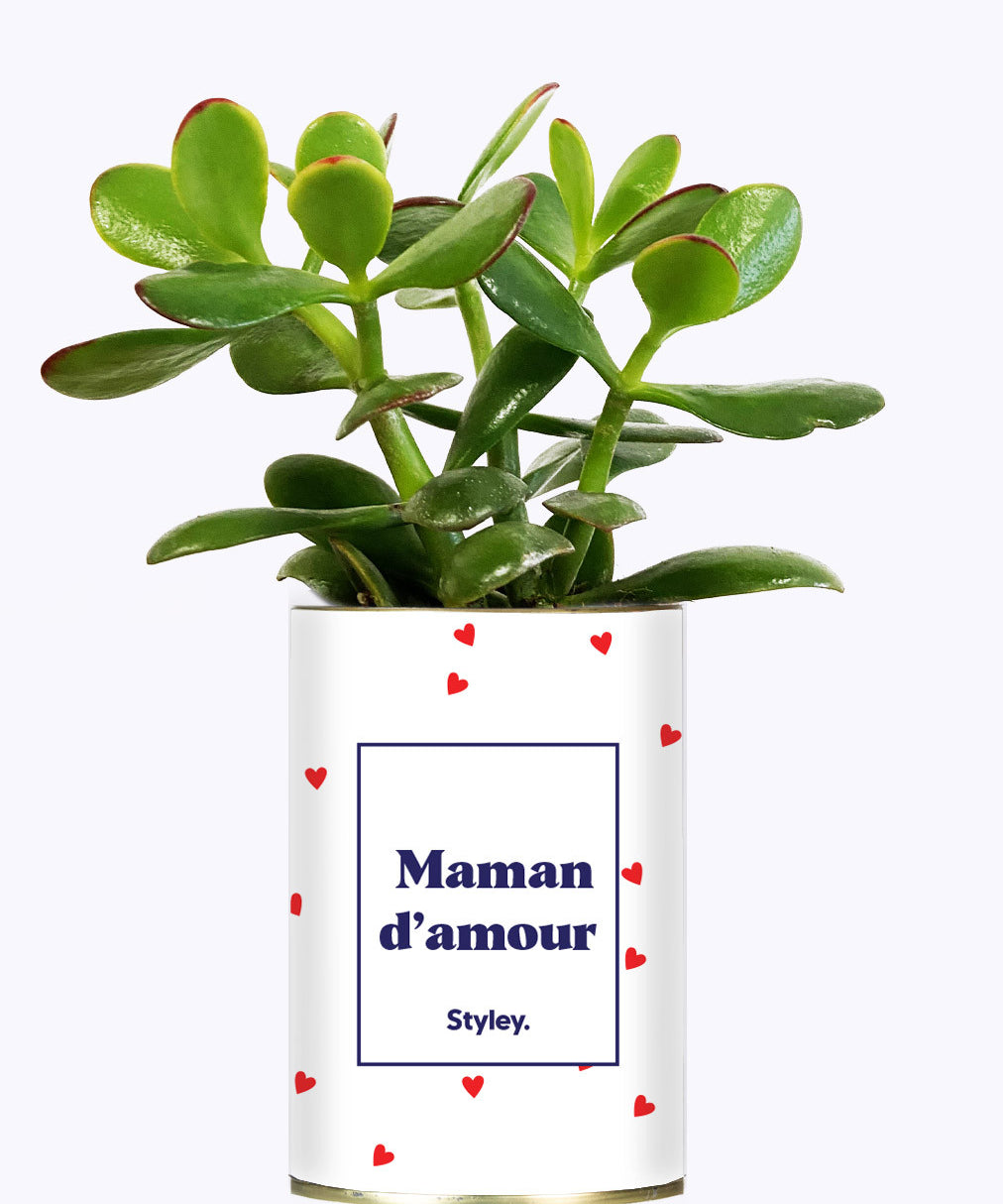 Maman d'amour - Cactus
