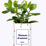 Maman d'amour - Cactus