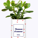 Maman d'amour - Cactus