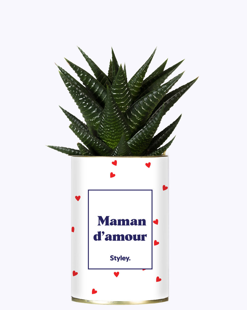 Maman d'amour - Cactus