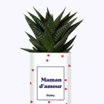 Maman d'amour - Cactus