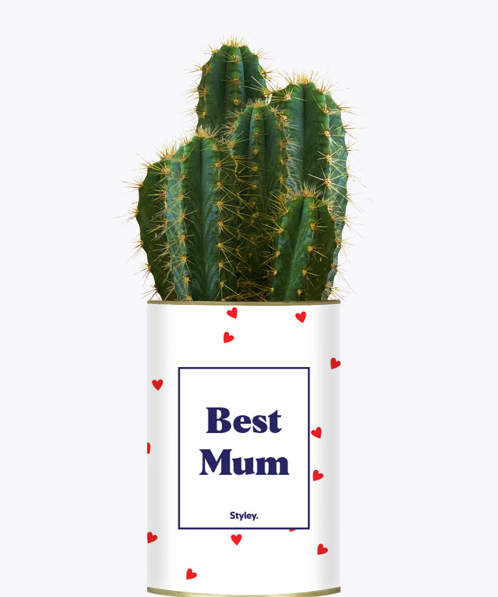 Best Mum - Cactus