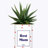 Best Mum - Cactus