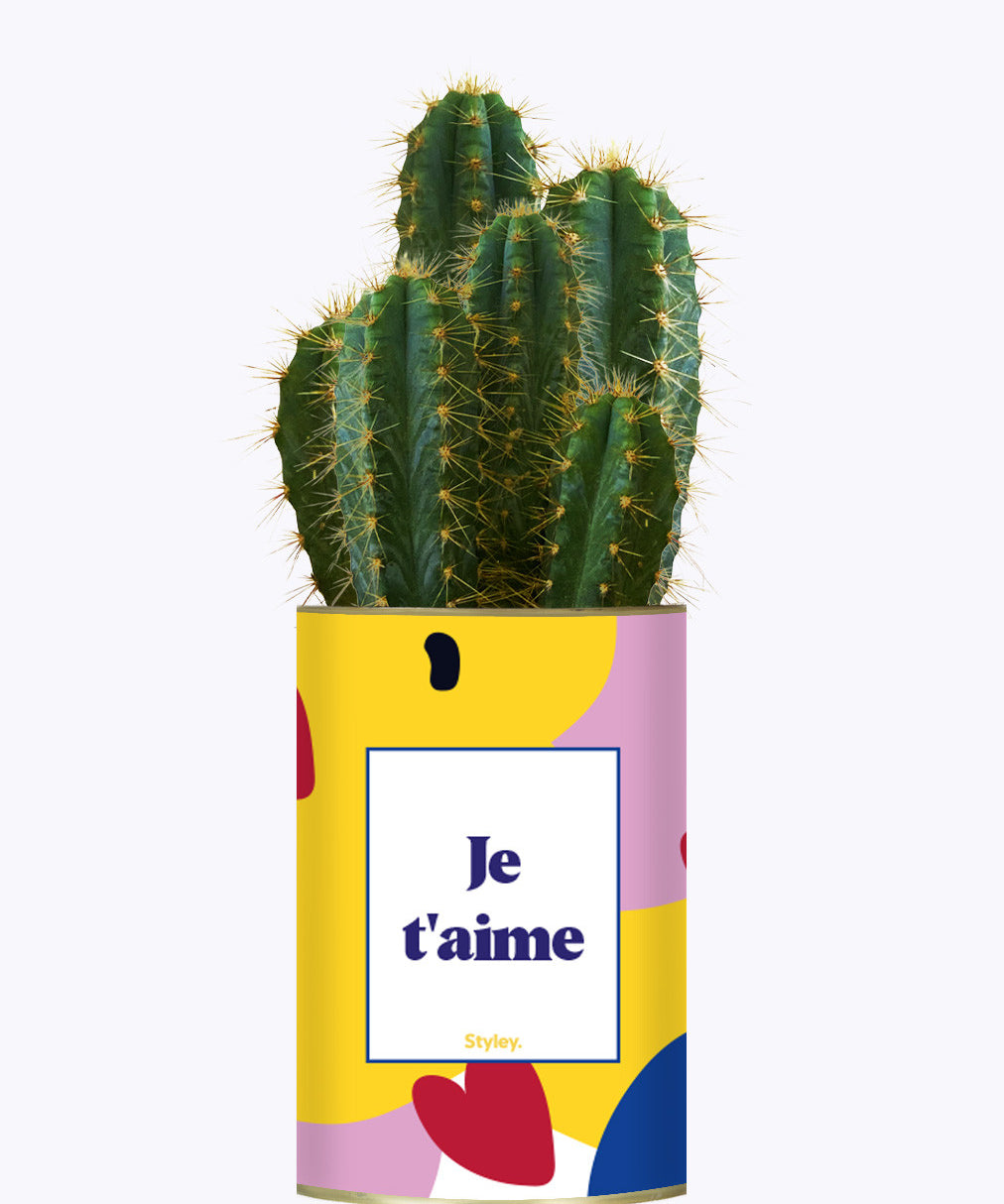 Je t'aime - Cactus