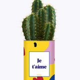 Je t'aime - Cactus