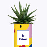 Je t'aime - Cactus