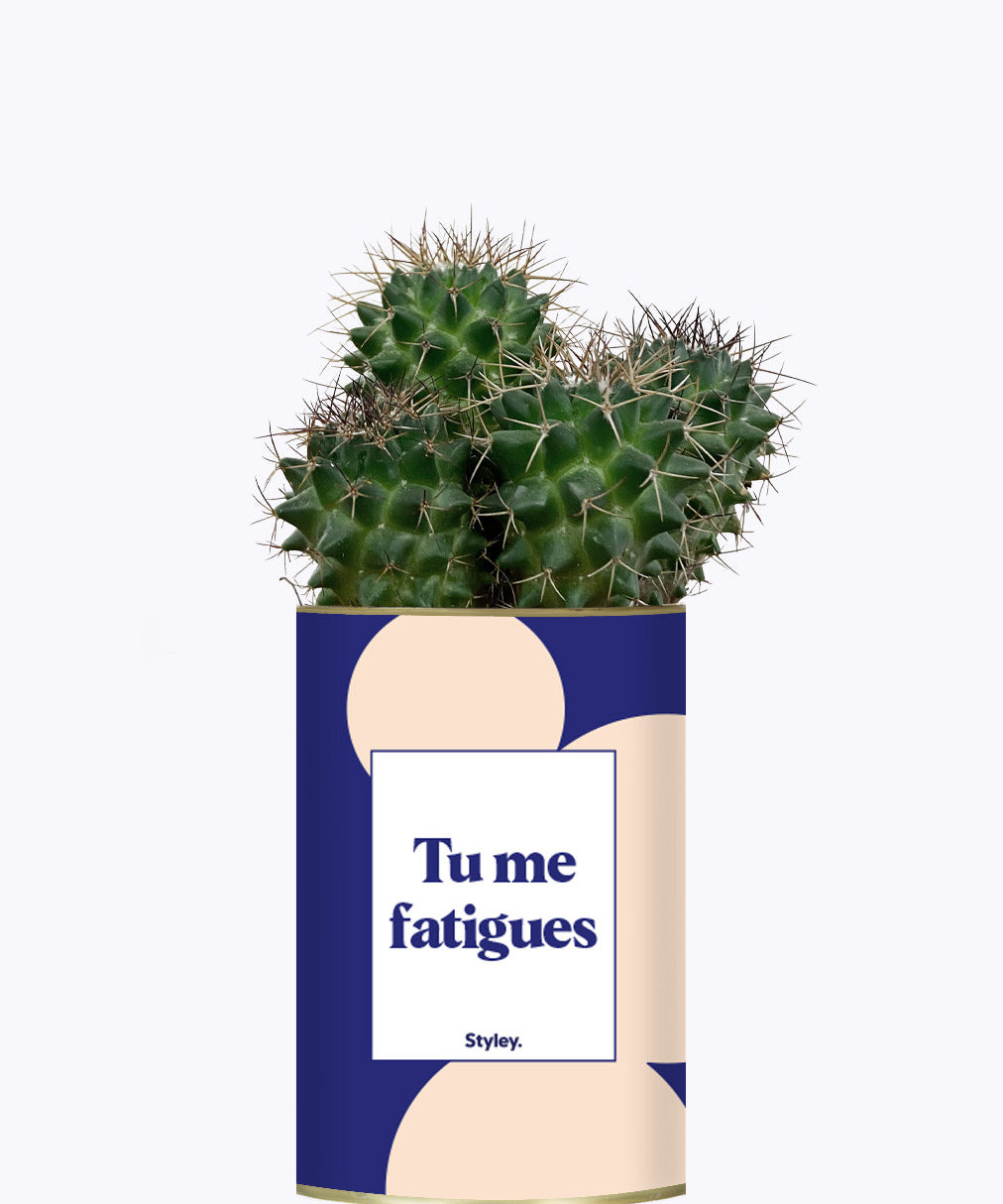 Tu me fatigues - Cactus