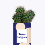 Tu me fatigues - Cactus