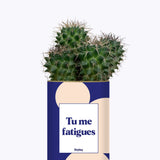 Tu me fatigues - Cactus
