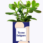 Tu me fatigues - Cactus