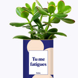 Tu me fatigues - Cactus