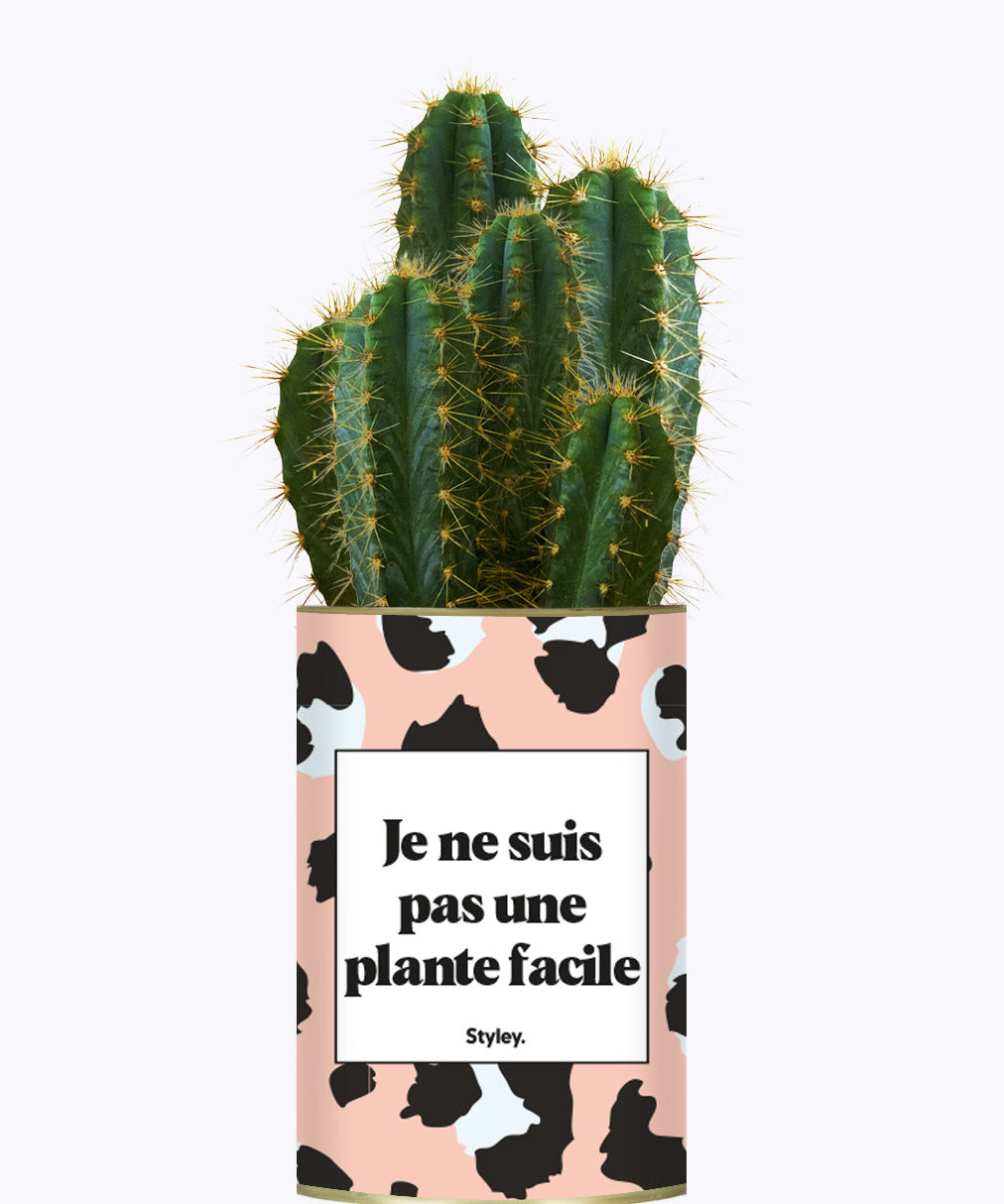 Je ne suis pas une plante facile - Cactus