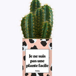 Je ne suis pas une plante facile - Cactus