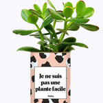 Je ne suis pas une plante facile - Cactus