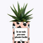 Je ne suis pas une plante facile - Cactus