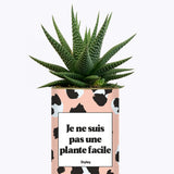 Je ne suis pas une plante facile - Cactus