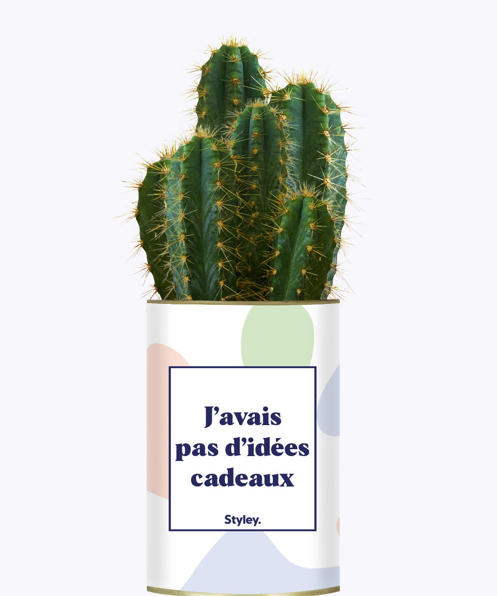 J'avais pas d'idées cadeaux - Cactus