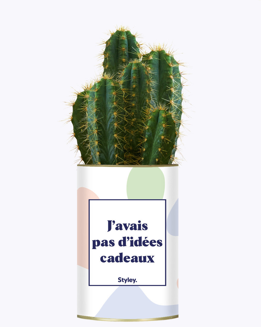 J'avais pas d'idées cadeaux - Cactus