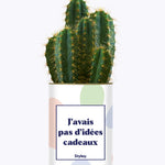 J'avais pas d'idées cadeaux - Cactus