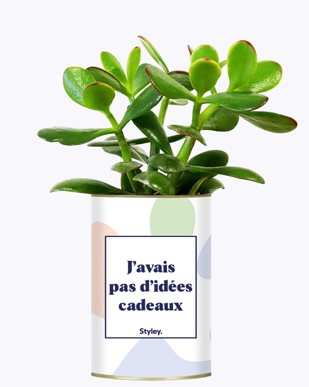 J'avais pas d'idées cadeaux - Cactus
