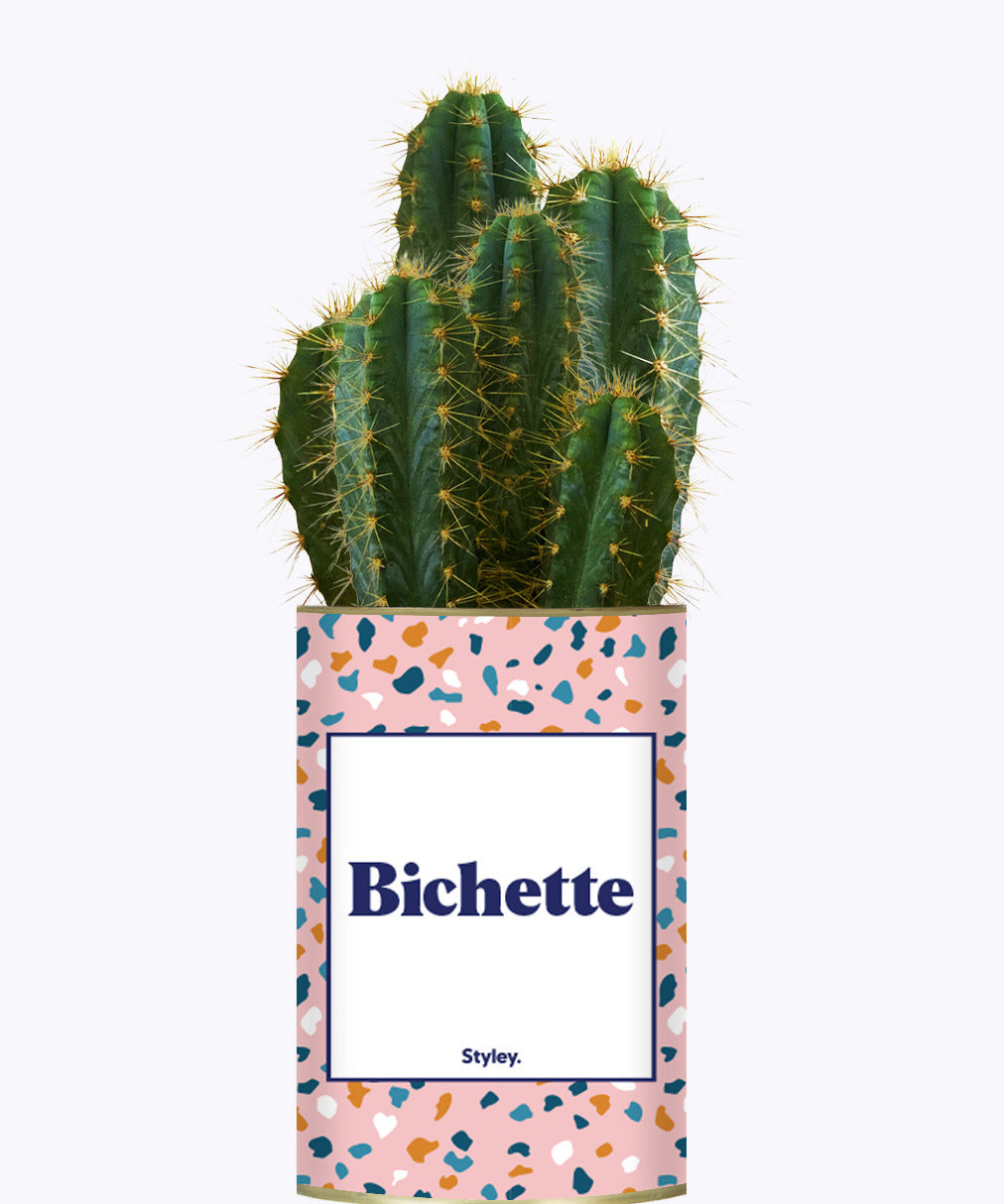 Bichette - Cactus